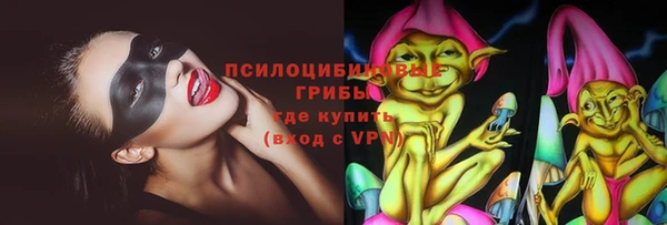 ешки Володарск