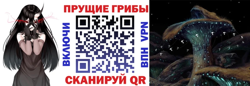 Псилоцибиновые грибы Psilocybine cubensis  Купить где  Новодвинск 